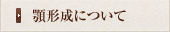 顎形成について