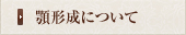 顎形成について