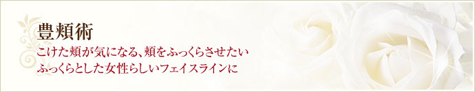 豊頬術